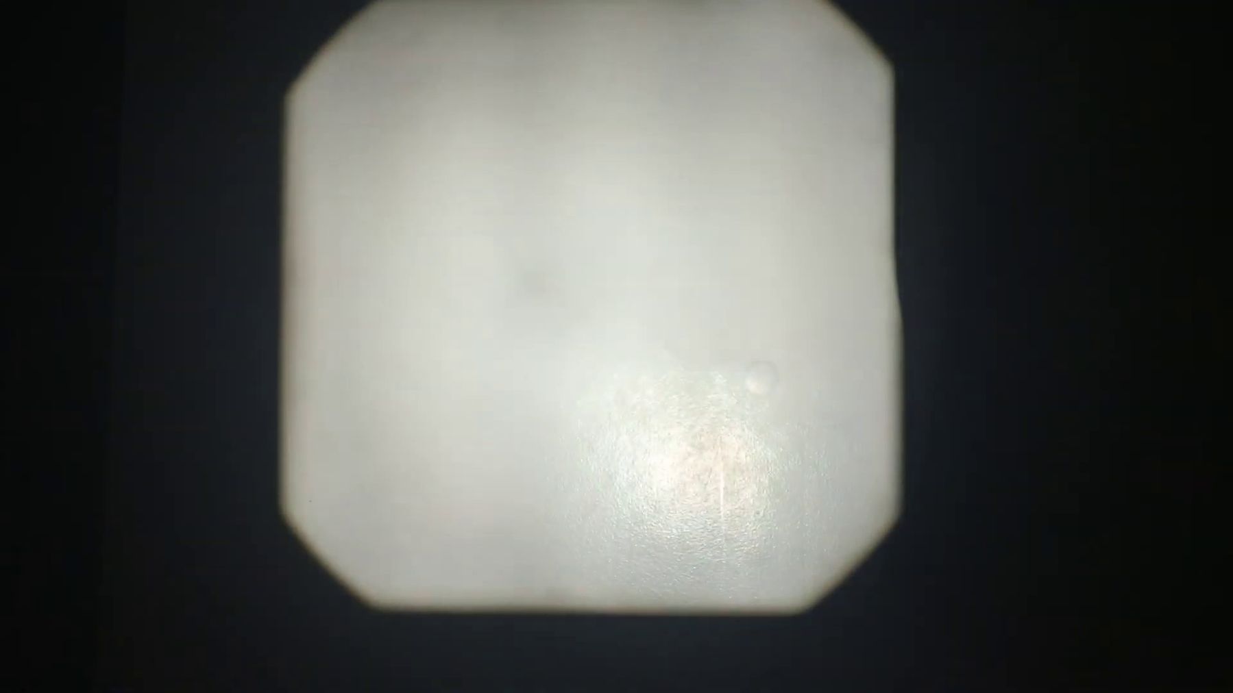 Revue (15 of 23) — Manuel Boden