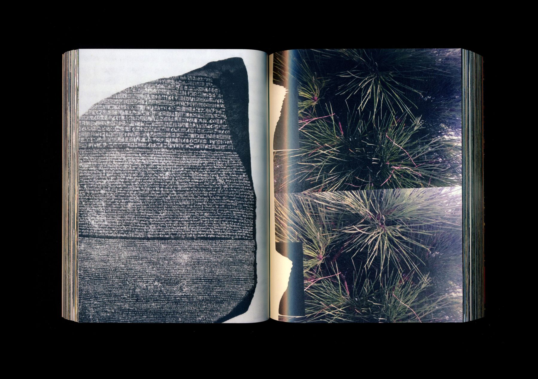 Untitled (Zentralbibliothek) (16 of 27) — Manuel Boden