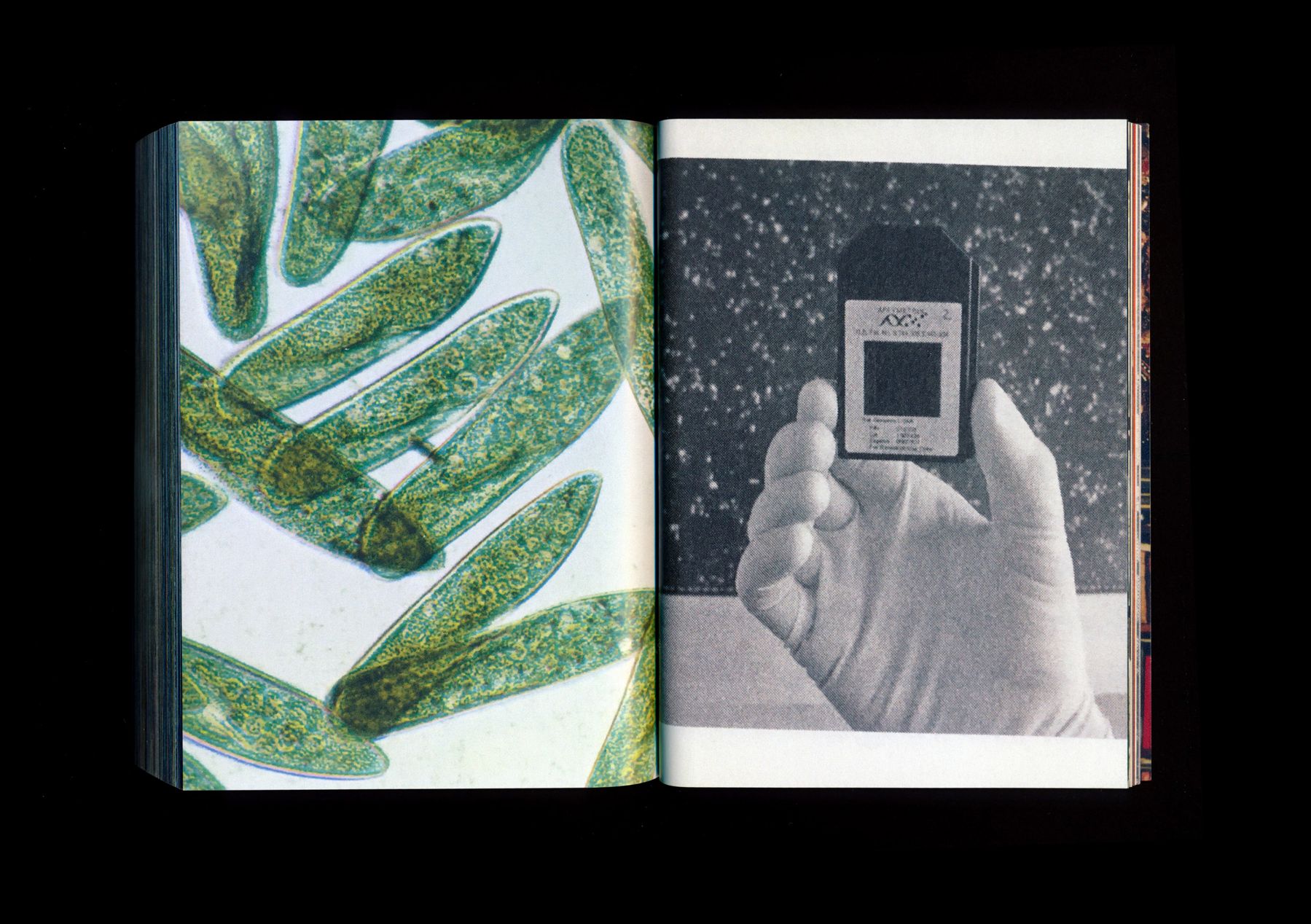 Untitled (Zentralbibliothek) (1 of 27) — Manuel Boden