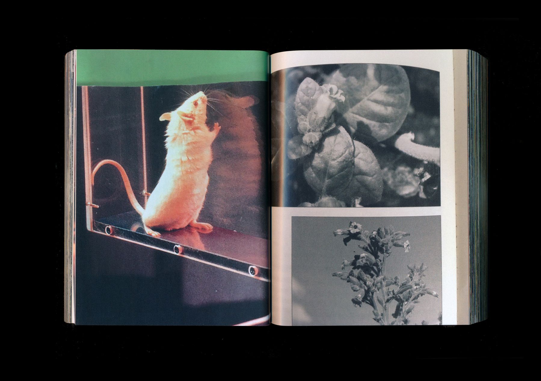Untitled (Zentralbibliothek) (3 of 27) — Manuel Boden