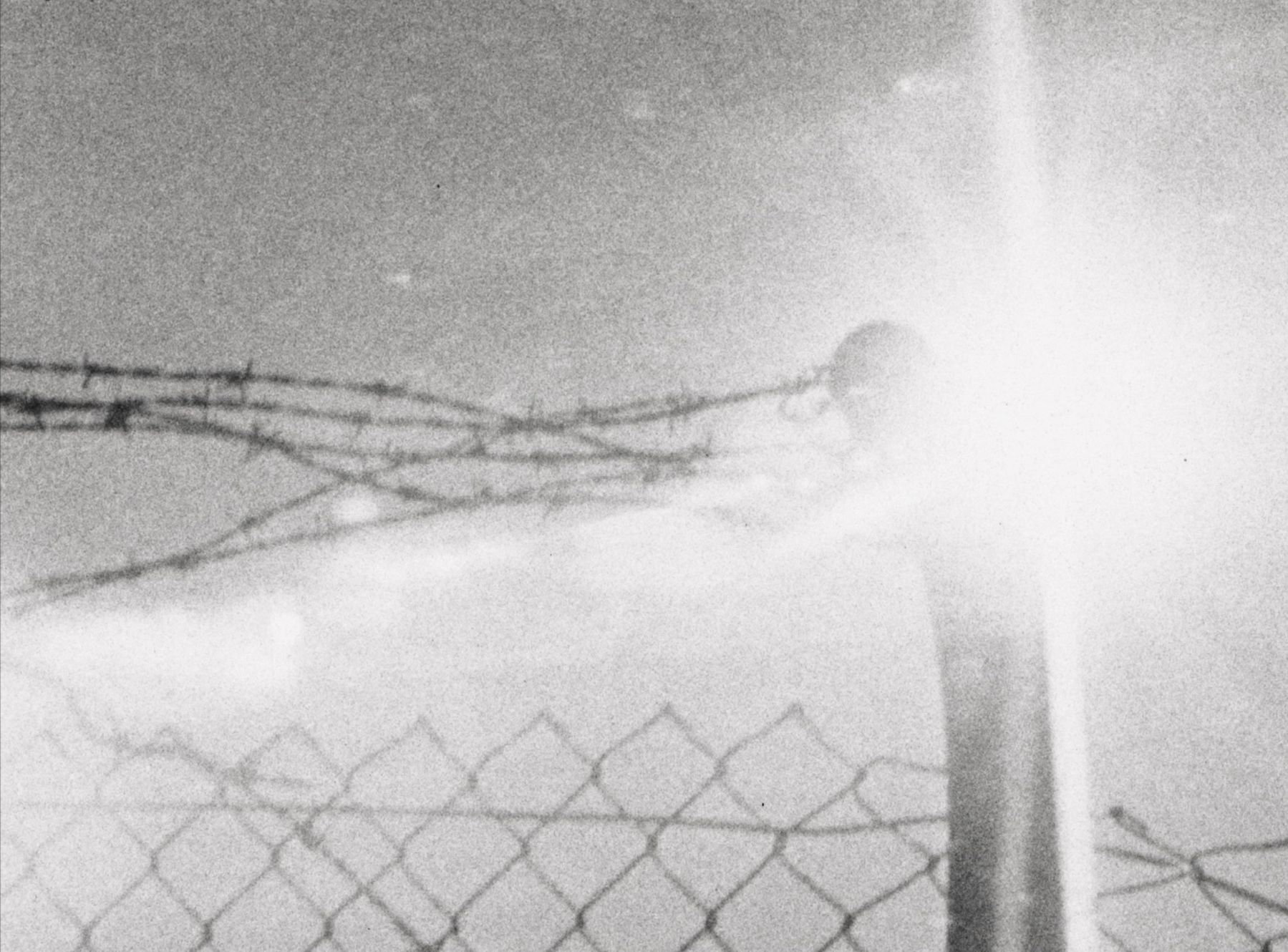 Untitled (Trail) (12 of 28) — Manuel Boden