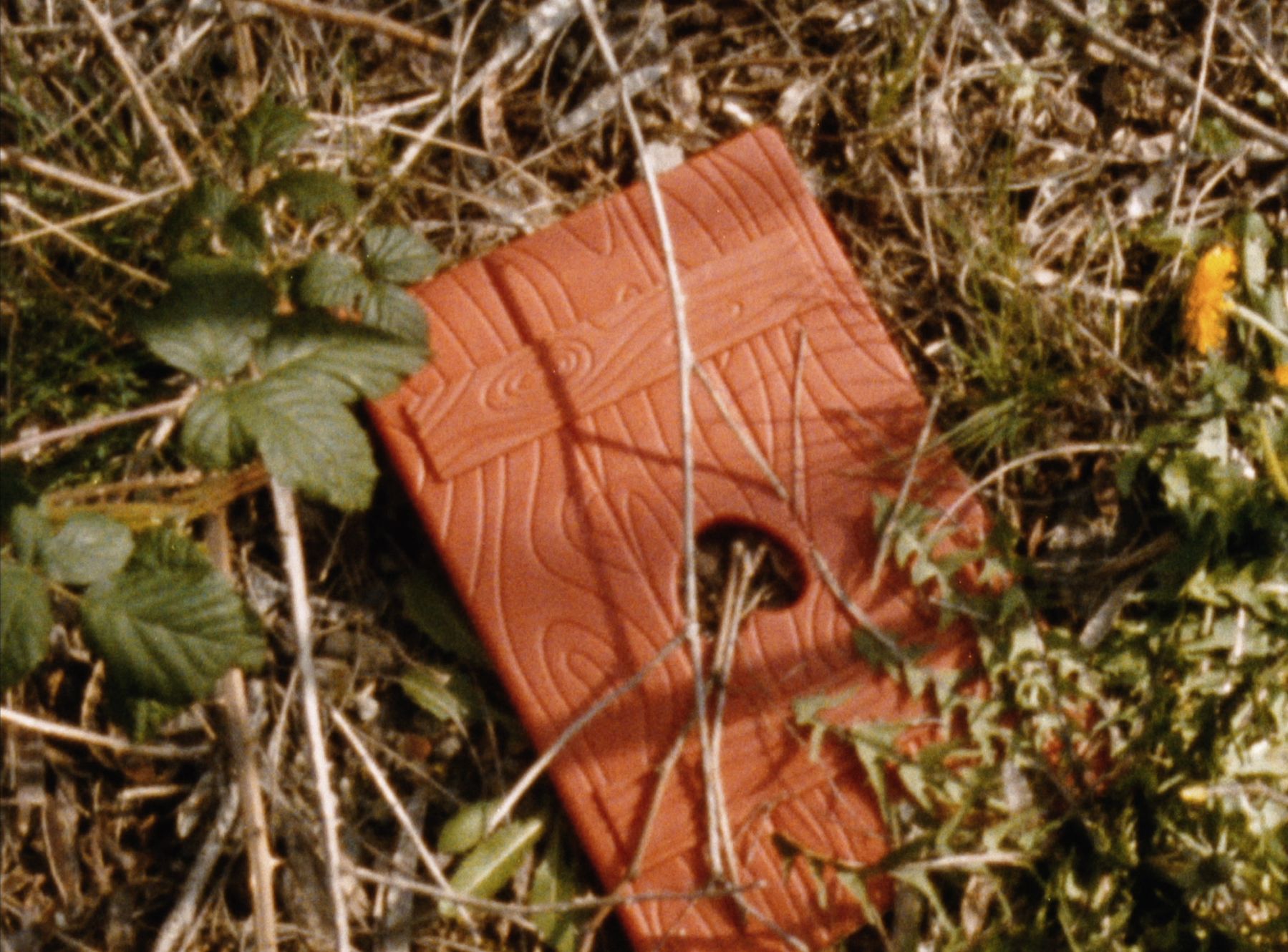 Untitled (Trail) (3 of 28) — Manuel Boden