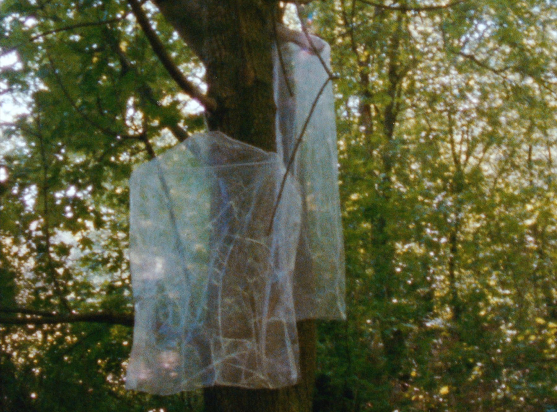 Untitled (Trail) (23 of 28) — Manuel Boden