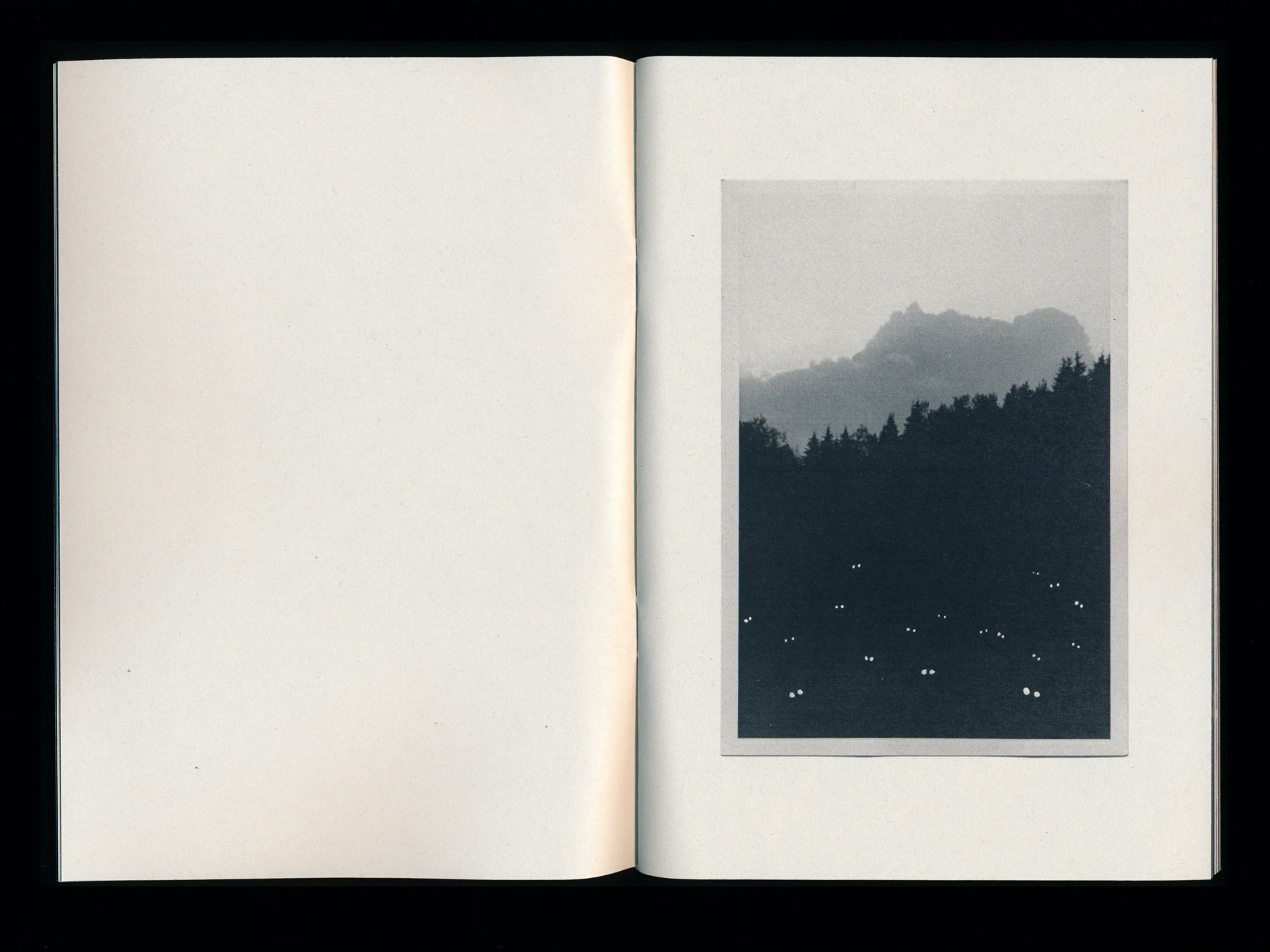 The Twilight Zine (6 of 24) — Manuel Boden