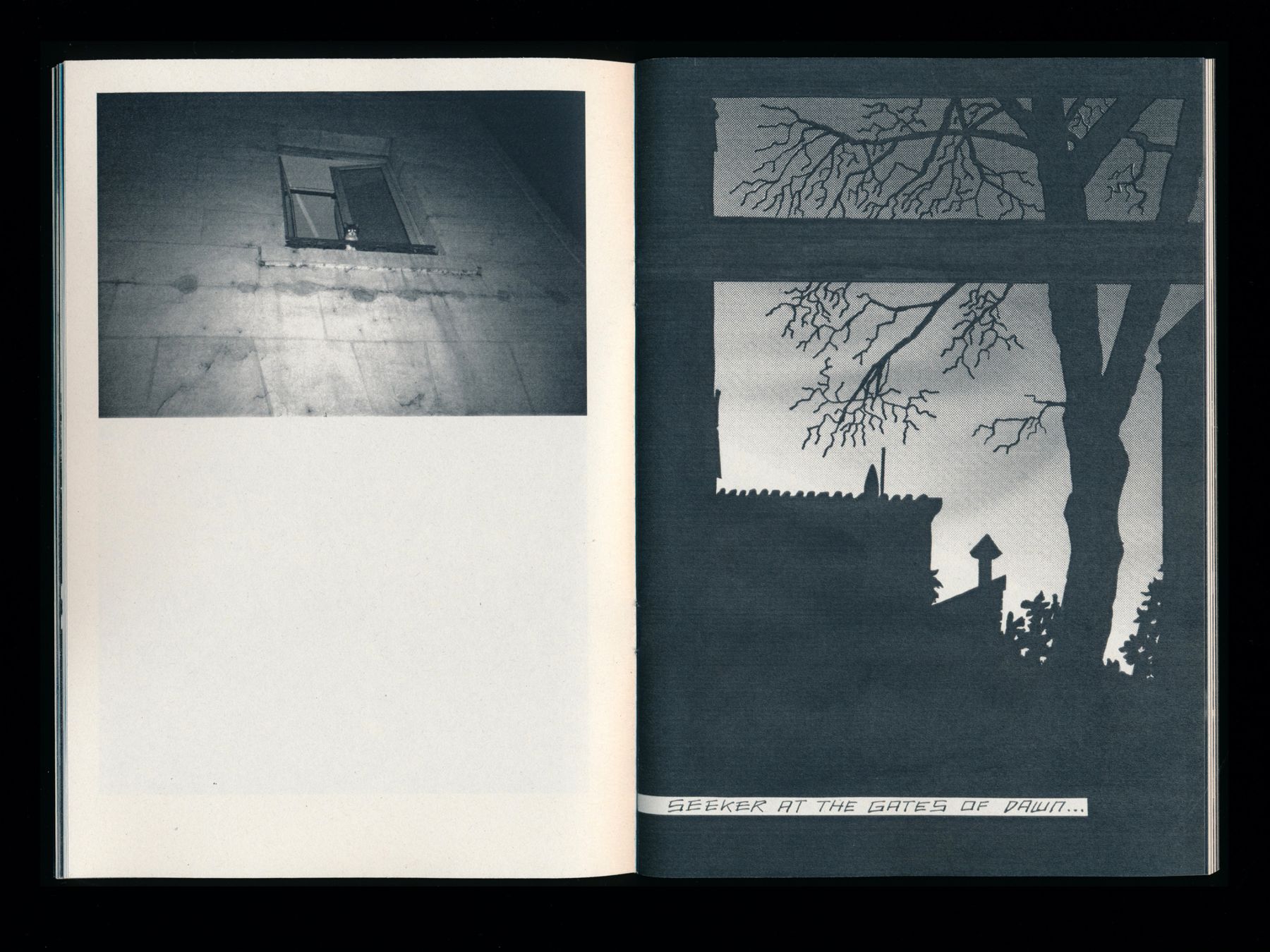The Twilight Zine (13 of 24) — Manuel Boden