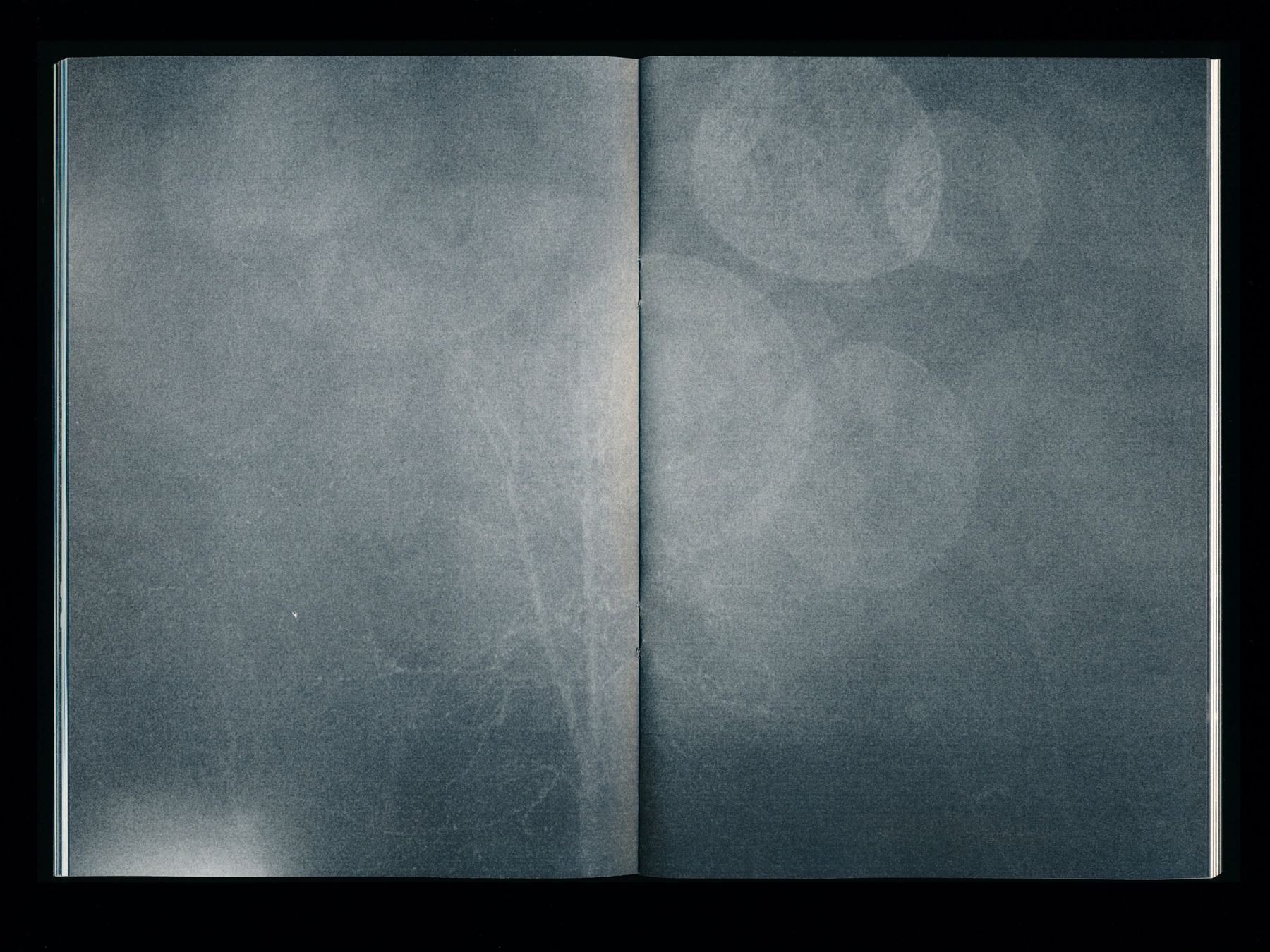 The Twilight Zine (14 of 24) — Manuel Boden