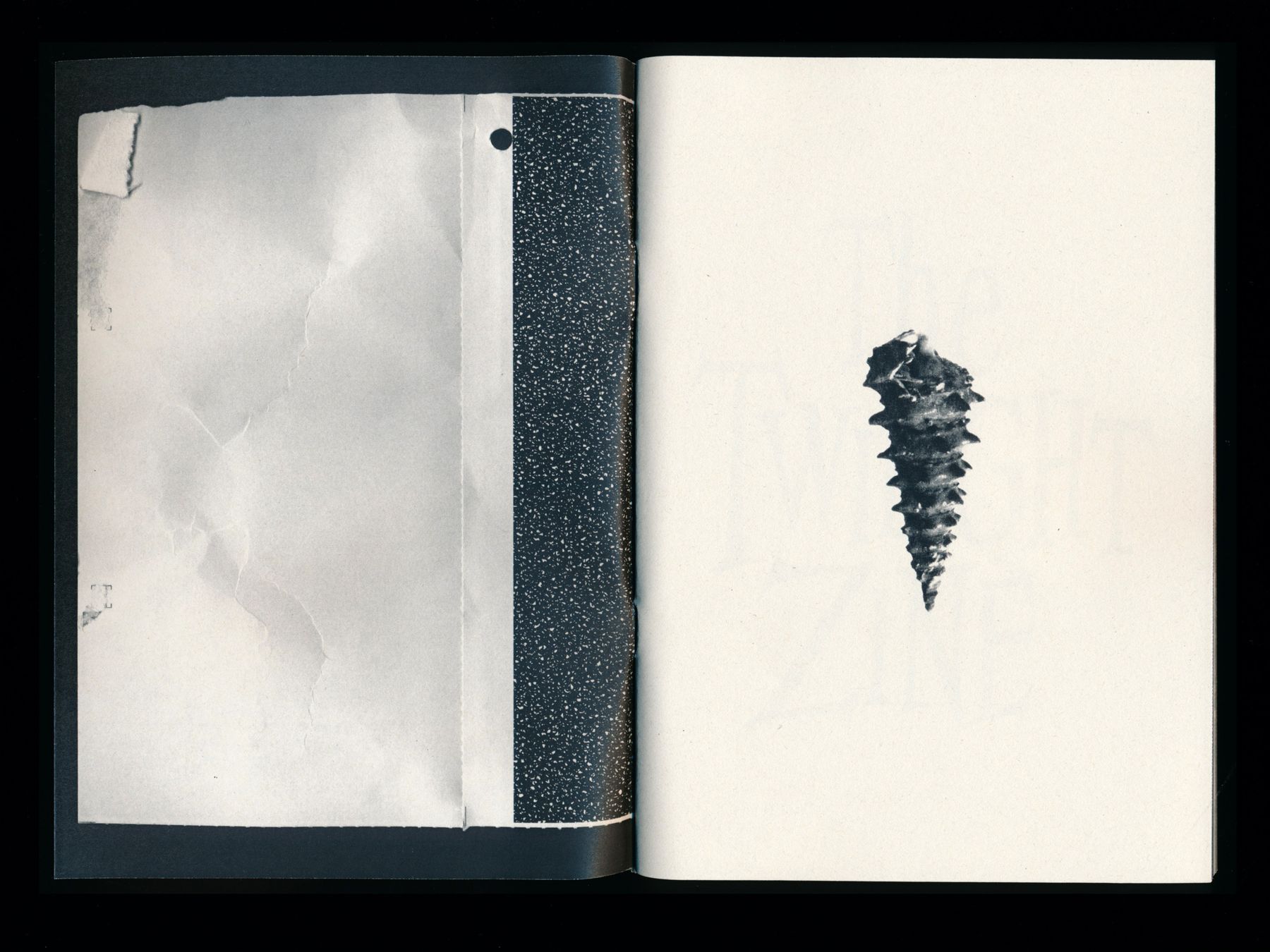 The Twilight Zine (2 of 24) — Manuel Boden