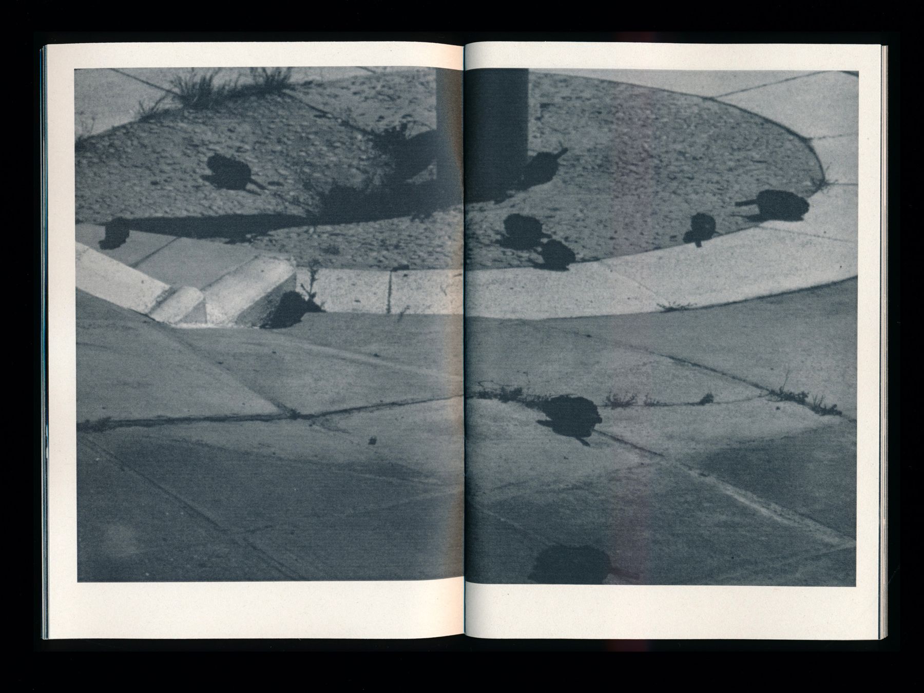 The Twilight Zine (12 of 24) — Manuel Boden