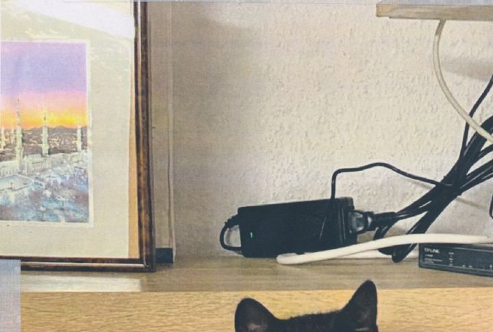 Suchbild — Manuel Boden