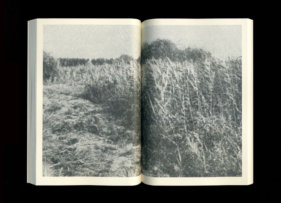 Die letzte Weizung (6 of 9) — Manuel Boden